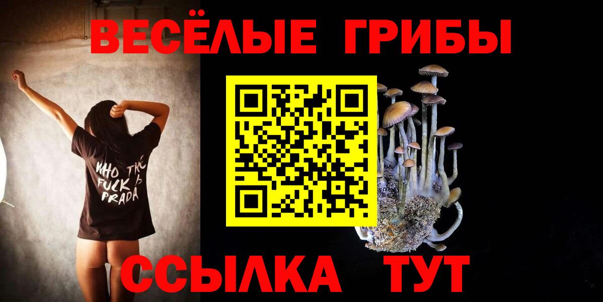 Галлюциногенные грибы Psilocybine cubensis Магадан