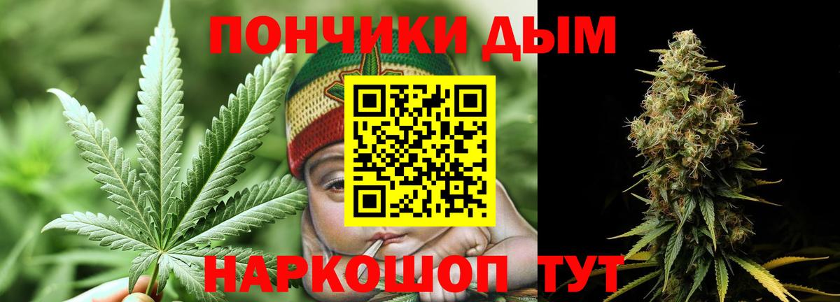 Бошки марихуана Amnesia Магадан